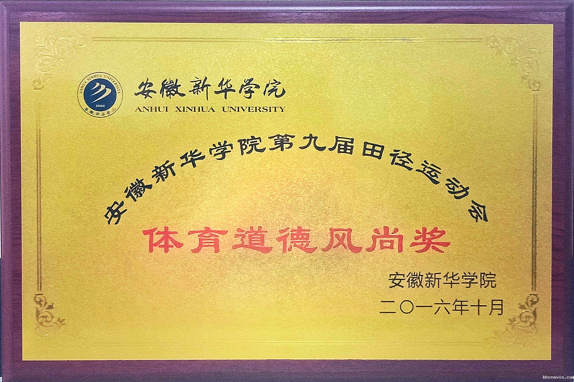 milan米兰官网第九届田径运动会体育道德风尚奖